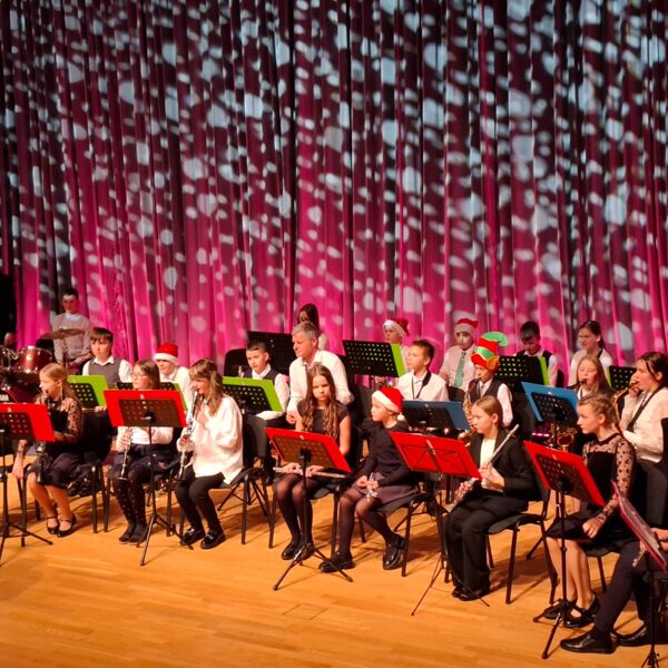 05.12.2025. Pūšaminstrumentu un sitaminstrumentu klases koncerts